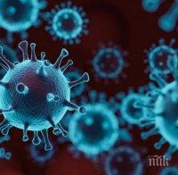Сериозно остава положението с коронавируса на Света гора