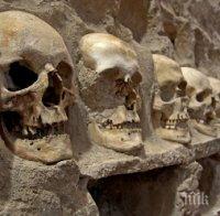 ЗЛОВЕЩА НАХОДКА: Археолози се натъкнаха на стена от 119 човешки черепи в Мексико
