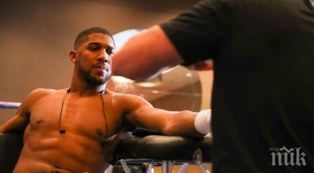 джошуа закани нокаутира кубрат