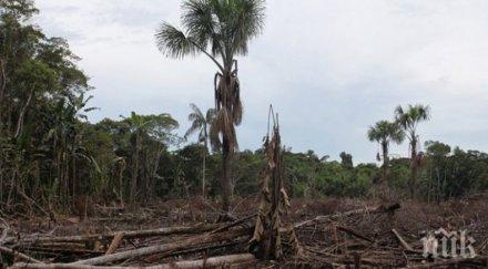 обезлесяването амазония равно площ размерите испания