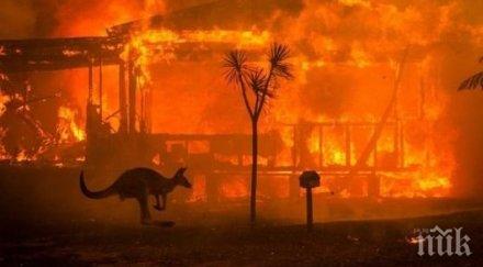 учени откриха каква причината пожарите русия