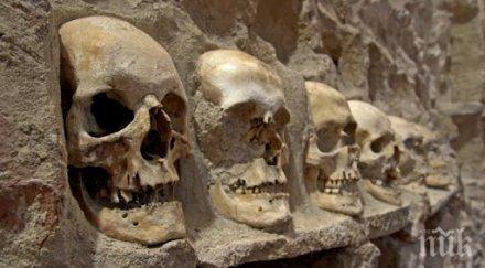 зловеща находка археолози натъкнаха стена 119 човешки черепи мексико