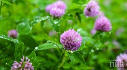 британски учени предлагат средство спиране косопада