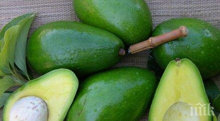 индийски диетолози съветват яжте зелени храни зимата силен имунитет