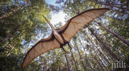 откриха останки гигантски птерозавър трънско