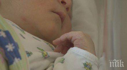 регистрираха бейби бум силистра