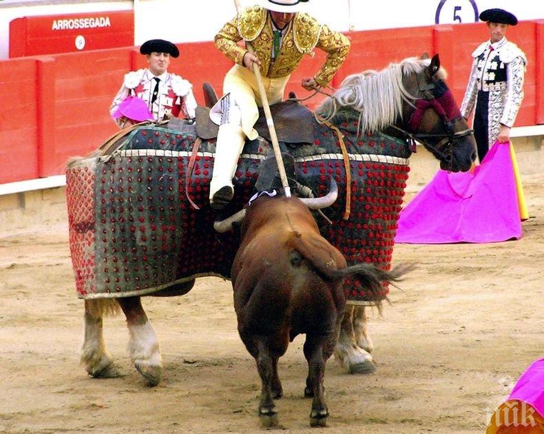 Властите в Колумбия са на път да забранят коридата