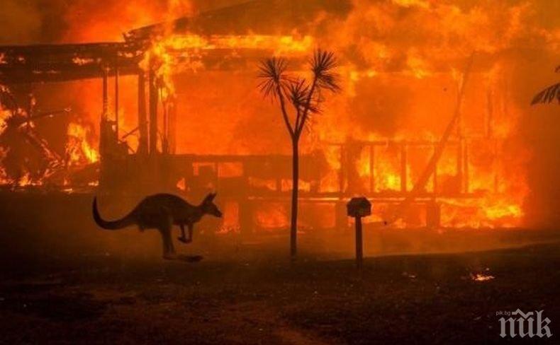 МВнР: Няма данни за пострадали български граждани при пожарите край Атина и в други райони на Гърция