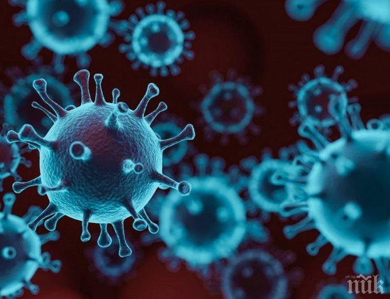 Сериозно остава положението с коронавируса на Света гора