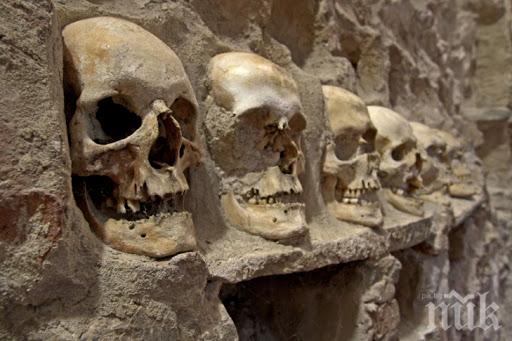 ЗЛОВЕЩА НАХОДКА: Археолози се натъкнаха на стена от 119 човешки черепи в Мексико