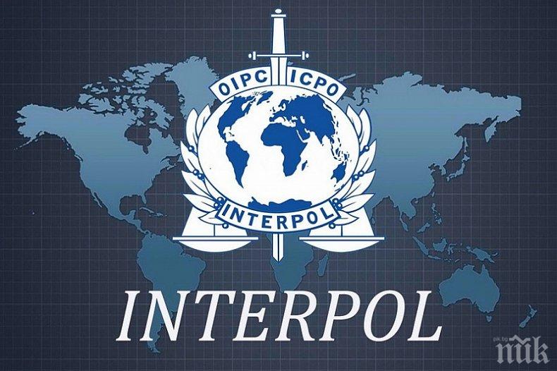 Интерпол издирва мъж за експлозията в Истанбул, избягал в България