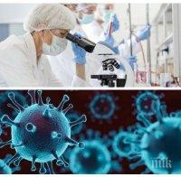 ИЗВЪНРЕДНО В ПИК: COVID-19 коси наред - уби 43 здрави българи, сред тях и 35-годишен мъж! Новите случаи в София доближават 1000 за 24 часа