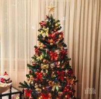 подредите коледното дърво щастие късмет фъншуй