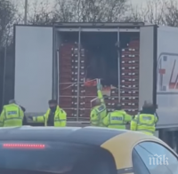 Арестуваха наш шофьор на ТИР и спътничката му във Великобритания за трафик на мигранти (ВИДЕО)