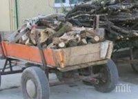 Полицаи и горски стражари заловиха бракониери на дърва в Павликенско