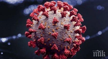 мерки предлагат задължителен pcr тест чужденци влизане сърбия