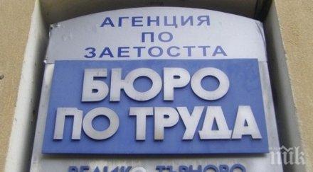 добра новина отчитаме ниската безработица началото пандемията