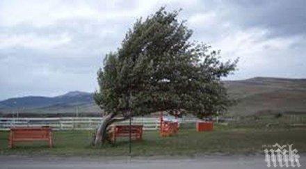 мвр предупреждава силен вятър територията област сливен възникнали няколко инцидента