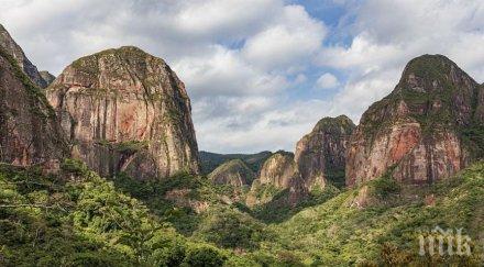 сензация откриха вида животни растения боливия