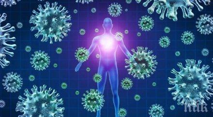 международен екип учени сзо отива ухан търсят произхода covid