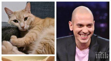 интрига котката цитиридис инспектира секс приключенията леглото водещият пак остана без гадже