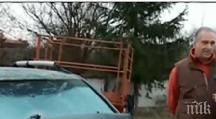 безпризорен кон връхлетя кола разби неузнаваемост