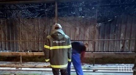 дезинфекцират автобусните спирки пловдив нов препарат дълготрайна защита