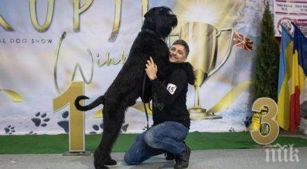 екшън кучето владо карамазов избяга откри