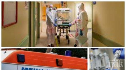 ужас без дете години сред починалите 191 ден covid