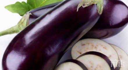 патладжанът попива гъба лошия холестерол