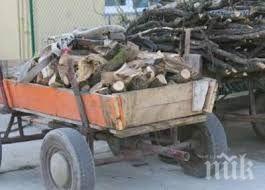 полицаи горски стражари заловиха бракониери дърва павликенско