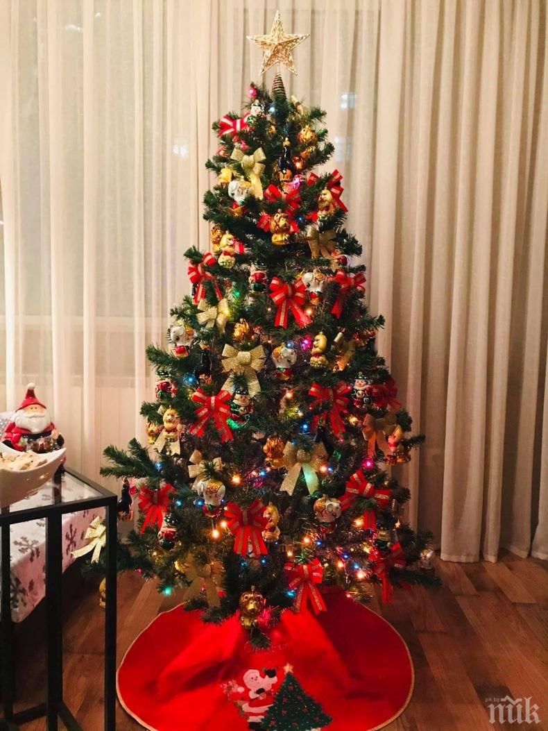 Ето как да подредите коледното дърво за щастие и късмет според фъншуй