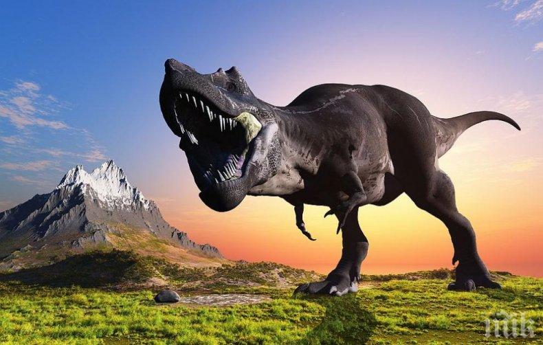 РЕВОЛЮЦИОННА НАХОДКА: Динозавър с козина шашна палеонтолозите