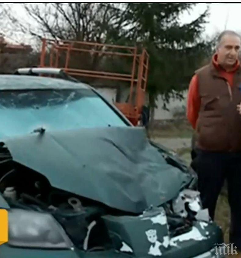 Безпризорен кон връхлетя върху кола и я разби до неузнаваемост 