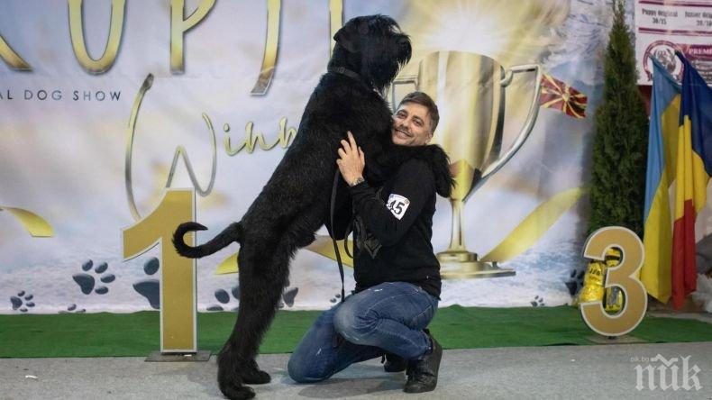 ЕКШЪН: Кучето на Владо Карамазов избяга, а ето кой го откри... 