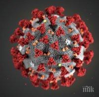 Доброволци от Павликени ще помагат в дом за стари хора