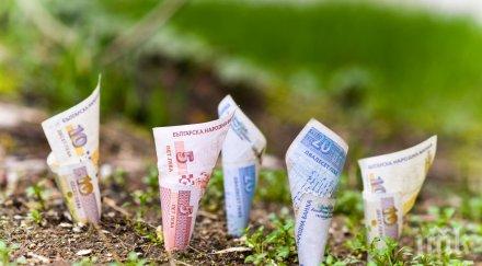 експерти разкриват поскъпне земеделската земя догодина