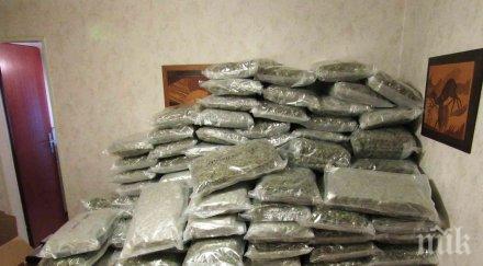 заловиха българин 100 кила марихуана ново село