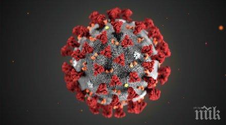 доброволци павликени помагат дом стари хора