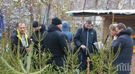 коледните елхи пазара имат контролни пластини сериен номер