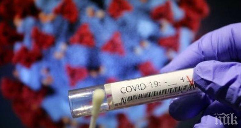 Общопрактикуващ лекар: Подсилването на кръвоносната система може да намали риска от усложнения при заразяване с коронавируса