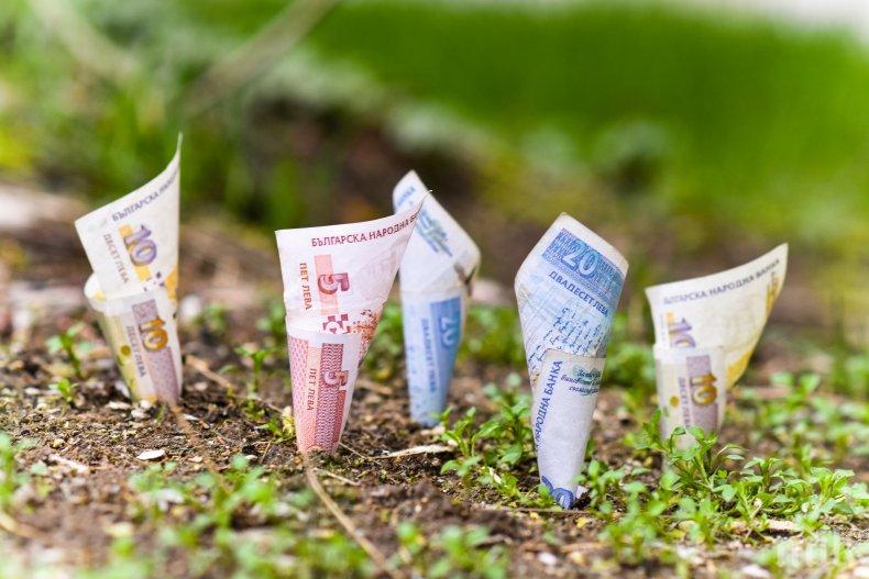 Експерти разкриват ще поскъпне ли земеделската земя догодина?