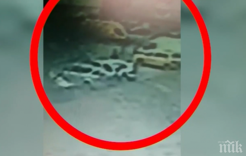 Прокуратурата се сезира за нападенията над жени в Овча купел