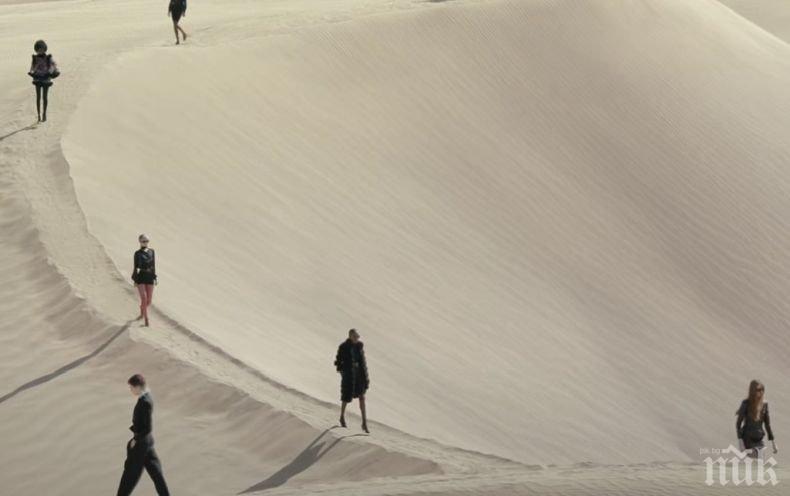 Ив Сен Лоран командирова моделите си в пустинята