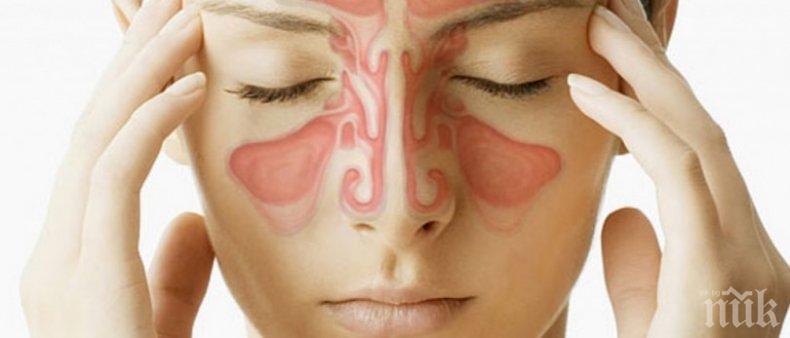 Как да прочистим синусите безопасно