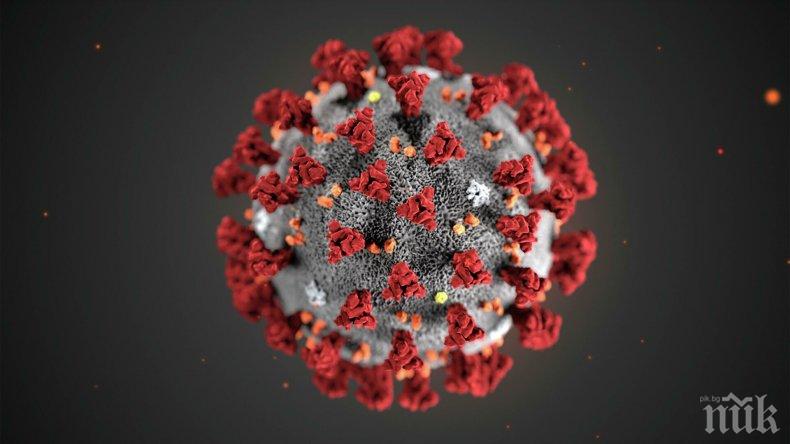 Доброволци от Павликени ще помагат в дом за стари хора