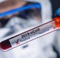 СЗО: 575 000 новозаразени с коронавируса по света за денонощие