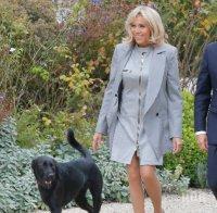 Кучето на семейство Макрон в кампания срещу изоставянето на животни