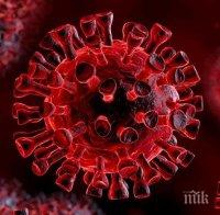 ТЕНДЕНЦИЯ: Търсят работници, отговарящи на ново изискване –  да имат антитела срещу коронавируса