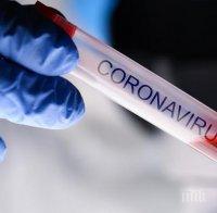 Над 33 000 новозаразени с коронавируса за денонощие във Великобритания